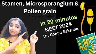 Stamen microsporangium and pollen grains class 12th by Dr Komal Saksena in hindi [upl. by Susanetta]