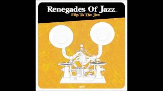 Renegades of Jazz  Black milk [upl. by Airalav]