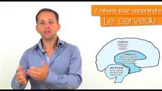 2 minutes pour comprendre le fonctionnement du cerveau [upl. by Aitat753]