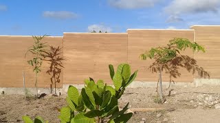 Rammed Earth Fence  Brazil architecture construction diy fence landscapedesign construção [upl. by Aysab]