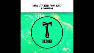 Nari x Steve Tosi x Funky Dunky  I Wish Original Mix [upl. by Sarid503]