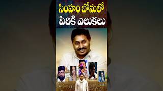 సింహం బోనులో పిరికి ఎలుకలు  YCP Leaders Leaving YS Jagan  AP Politics  Cine Megham [upl. by Plumbo]