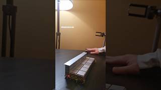 fingerboard fingerskateboard fingerboarding 🚨Like and sub to support the channel🚨 tricks skate [upl. by Hailey388]