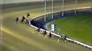 1982 Blue Bonnets ARMBRO BLUSH Richelieu 2YO Trot Glen Garnsey [upl. by Ahsimit733]