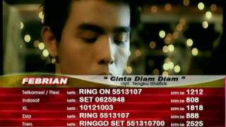 Febrian  Cinta Diam Diam Official Video [upl. by Rothenberg]