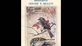 Stories of Birds FULL Audiobook [upl. by Eloken]