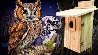 The Perfect Screech Owl Nest Box for the Piedmont Wildlife Center [upl. by Anattar]