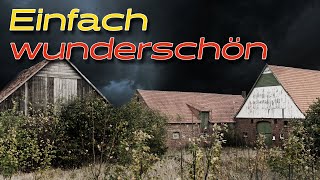 Von außen total unscheinbar  Bauernhof voll mit alten Schätzen [upl. by Notnroht]