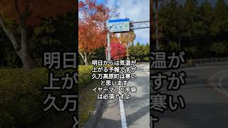 【20241124第45番岩屋寺⇒第46番浄瑠璃寺】気象状況速報 No45Iwayaji⇒No46Joruriji お遍路さん 四国八十八箇所 四国霊場 弘法大師 [upl. by Htebzil]