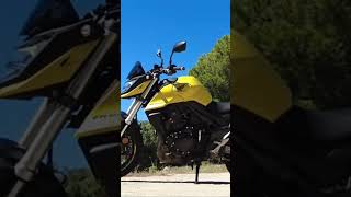 Las mejores motos 2024 shorts shortvideo motorcycle motosdeportivas honda bmw harley [upl. by Ainirtak]