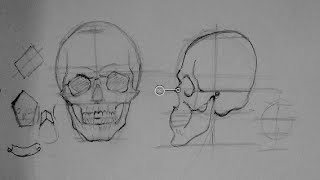 Drawing Human Anatomy amp Head Proportions  How to Draw a Reaslistic Skull Step by Step [upl. by Benioff]