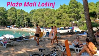 Mali Lošinj 🏖️ Plaža Čikat ☀️ Otok Lošinj 🇭🇷 Croatia 🏖️ Beach [upl. by Macmullin624]