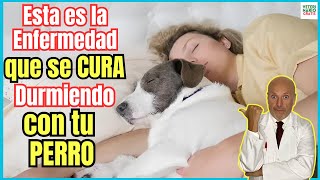 🙀 ESTA ES LA ENFERMEDAD QUE SE CURA DURMIENDO CON UN PERRO 🙀 [upl. by Moazami]