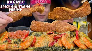 BAGNET amp SPICY GINATAANG SHRIMP MUKBANG PINOY MUKBANG [upl. by Lister]