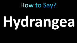 How to Pronounce Hydrangea correctly [upl. by Notrub]