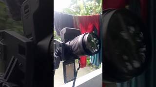 Canon 200d Mark II canon canon200dii shorts short shortvideo shorts [upl. by Akcire355]