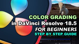 Start Color Grading in DaVinci Resolve in less than 15 minutes [upl. by Llenrep]