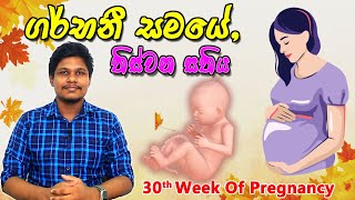 Pregnancy 30th Week  Sinhala Medical Review  අම්මයි බබයි [upl. by Ettessil]