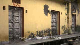 Faded walls and closed doors Sonkhaliya village in Rajasthan [upl. by Hillari601]