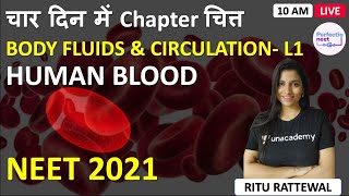 L1 Human Blood Body Fluids and Circulation  4 Din me Chapter Chitt  NEET 2021  Ritu Rattewal [upl. by Refannej696]