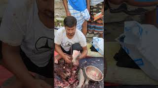 Amazing Big Ilish Fish Super First Cutting fish fishcutting fishcuttingskills youtubeshorts [upl. by Eydnarb]