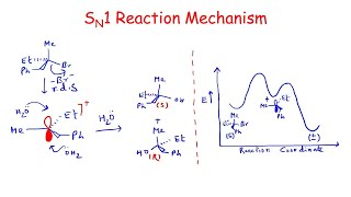 SN1 Reaction Mechanism Basic concepts [upl. by Gora]