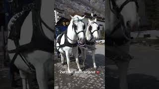 Zermatt train station to the beginner slopes [upl. by Essej]