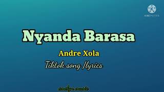 Andre Xola  Nyanda Barasa lyricstiktok song [upl. by Nilyahs]