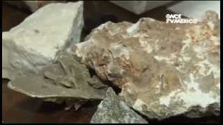 Estudio de Rocas y Minerales [upl. by Idnem]