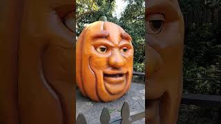 Singing pumpkin houstonzoo pumpkin shortsfeed viralvideo [upl. by Ciardap]