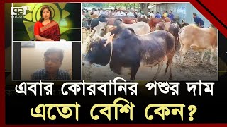 গরুর দাম নিয়ে ক্রেতাবিক্রেতার মধ্যে এতো ফারাক কেন । Cow Haat  Ekattor TV [upl. by Marchak]