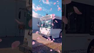 Pink Rose Petals 🌷 falling on retired Kings Transit bus 51 😊💕 New Flyer NS Oct 2024 [upl. by Enelrad]