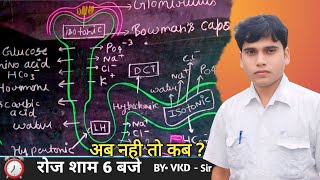 Human Anatomy and Physiology Lecture No 9 Topic mechanism of Urine formation explore ytviral [upl. by Kotta]