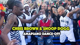 Chris Brown and Snoop Dogg Dances to Amapiano African Music [upl. by Yoj]