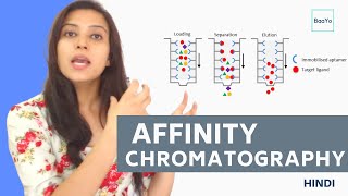 Affinity chromatography  Introduction and Principle in Hindi [upl. by Lertnek]