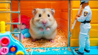 Mr Hamster Escapes the Gigantic Rainbow Balloon Maze 🐹 Hamster Maze [upl. by Areis505]