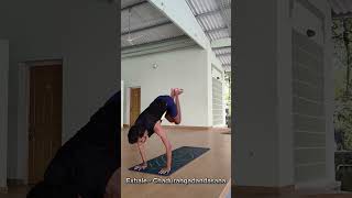 Ashtanga  Suryanamaskara A ashtangyog yogapractice shorts shorysviral yogainspiration yoga [upl. by Noyrb481]