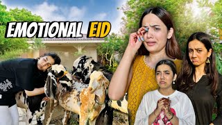 Qurbani ke Time sub Rou Paray 😭Eid ki Tayariyan😍Sistrology [upl. by Macfadyn]