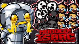 THIS DELETED RUN IS INSANE  Modded Binding of Isaac Repentance New Save File  Part 385 [upl. by Krys]