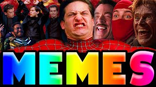 SPIDERMAN MEME COMPILATION [upl. by Eojyllib]