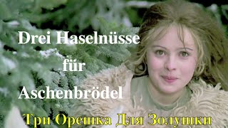 Drei Haselnüsse für Aschenbrödel – Harmonica by Harproli [upl. by Anaujal]