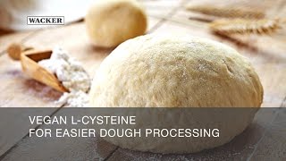 Vegan LCysteine for Dough Processing [upl. by Nymzaj339]