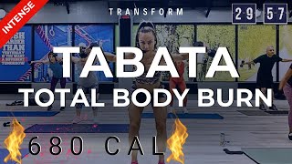 60min TotalBody Burn TABATA  ABS  Light Weights Body Sculpting Weight Loss  Shred Belly Fat 🔥 [upl. by Thisbee976]