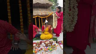 রাখির আইবুড়োভাতে কি কি রান্না বান্না করলামshots trending vlog [upl. by Tace602]