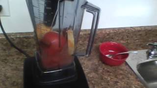 How to make Tomato Soup in the Vitamix [upl. by Ppilihp804]