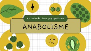 BIOLOGI Kelas 12 METABOLISME Anabolisme  Fotosintesis dan Kemosintesis [upl. by Nimocks782]