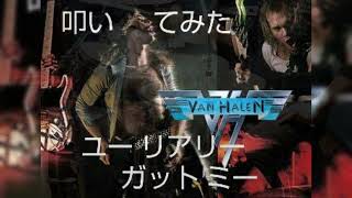 叩いてみた VAN HALEN〖You Rreally Got Me〗 [upl. by Perce]