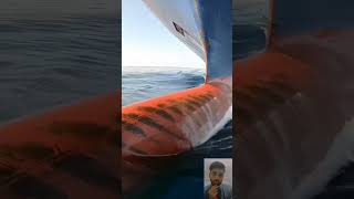 Pani Mein Tabahi Container Ship Ka 😱😱😱Crazy Accidentquot😱😱😱 [upl. by Aniretak205]