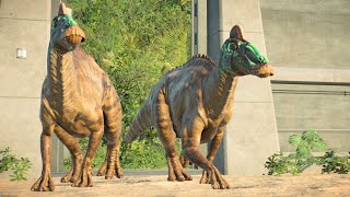 ALL SMALL amp MEDIUM CARNIVORES amp HERBIVORES SPECIES  Jurassic World Evolution 2 [upl. by Reider]