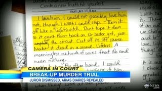 Jodi Arias Journal Entry Shows Strong Motive To Kill Travis Alexander quotCut Off Its Life Sourcequot [upl. by Francis]